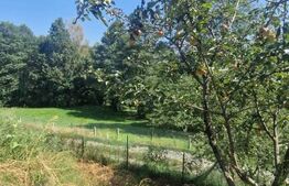 Casa PREDELUT , 4 camere 