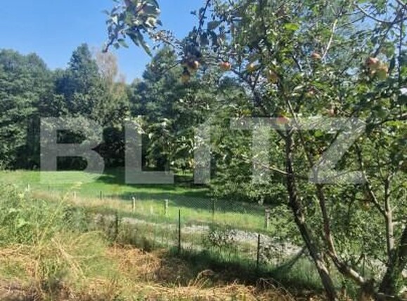 Casa de vânzare 4 camere Bran - 157619CV | BLITZ Brașov | Poza4