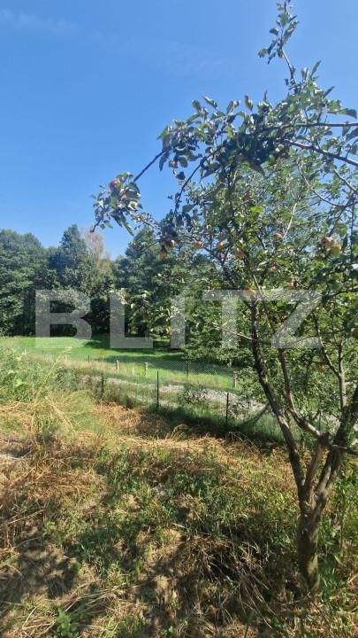 Casa de vânzare 4 camere Bran - 157619CV | BLITZ Brașov | Poza4