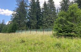 Oportunitate de Investiție: Teren de 10.000 mp la Intrarea în Predeal