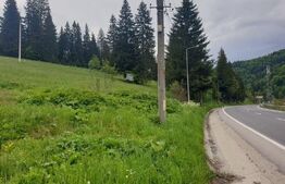 Oportunitate de Investiție: Teren de 10.000 mp la Intrarea în Predeal