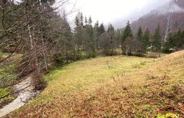 Oportunitate de Investiție: Teren de 10.000 mp la Intrarea în Predeal