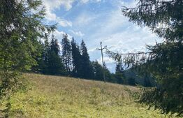 Oportunitate de Investiție: Teren de 10.000 mp la Intrarea în Predeal