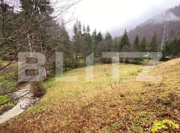 Teren de vânzare Predeal - 157624TV | BLITZ Brașov | Poza6