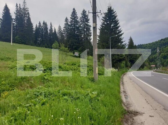 Teren de vânzare Predeal - 157624TV | BLITZ Brașov | Poza4