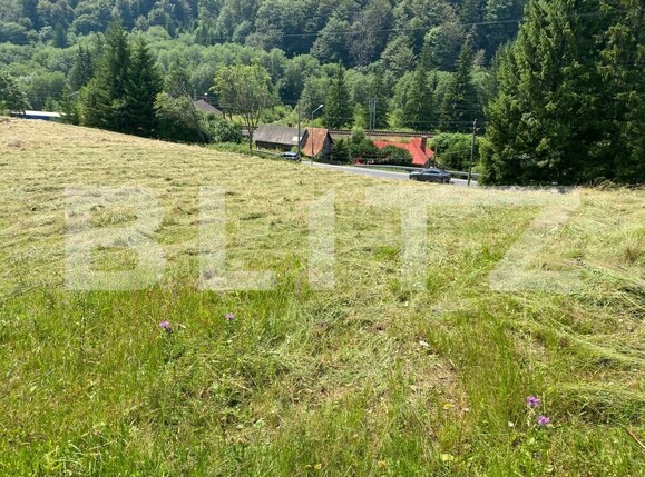Teren de vânzare Predeal - 157624TV | BLITZ Brașov | Poza1
