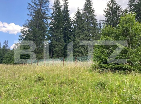 Teren de vânzare Predeal - 157624TV | BLITZ Brașov | Poza7