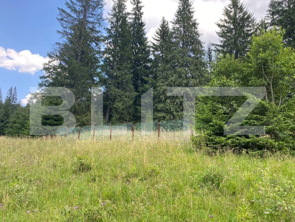 Teren de vânzare Predeal - 157624TV | BLITZ Brașov | Poza7