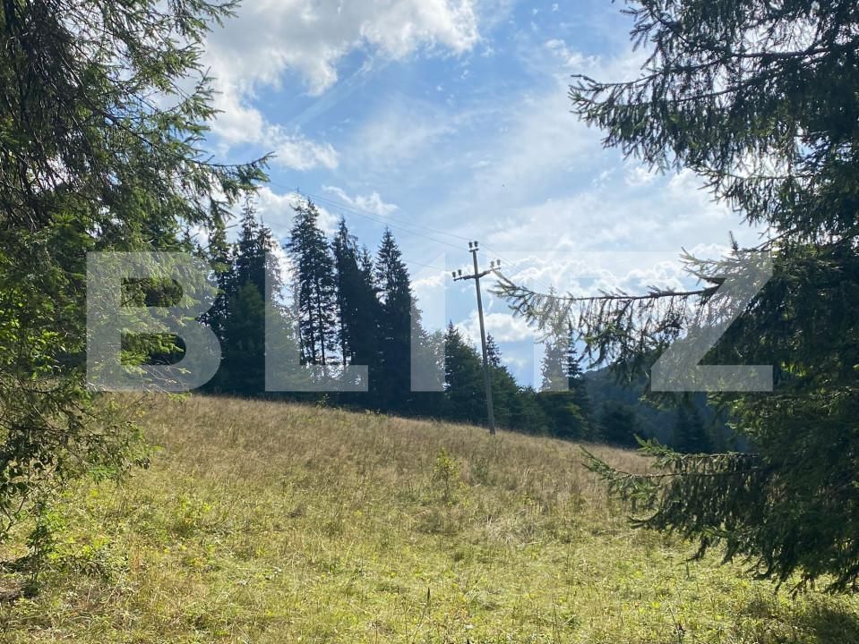 Teren de vânzare Predeal - 157624TV | BLITZ Brașov | Poza8