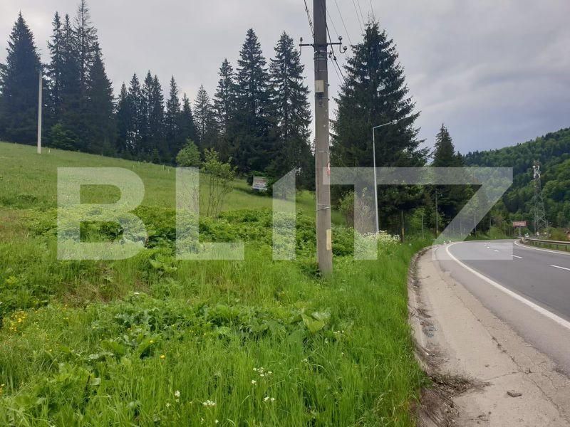 Teren de vânzare Predeal - 157624TV | BLITZ Brașov | Poza4