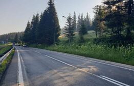 Oportunitate Unică: Teren de 10.000 mp Parcelat, Ideal pentru Reședințe Private 