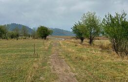 Teren intravilan de 9500 mp în Râșnov – locul ideal pentru proiectele tale!