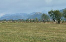 Teren intravilan de 9500 mp în Râșnov – locul ideal pentru proiectele tale!