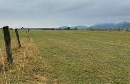 Teren intravilan de 9500 mp în Râșnov – locul ideal pentru proiectele tale!