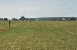 Teren intravilan de 9500 mp în Râșnov – locul ideal pentru proiectele tale!