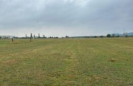 Teren intravilan de 9500 mp în Râșnov – locul ideal pentru proiectele tale!