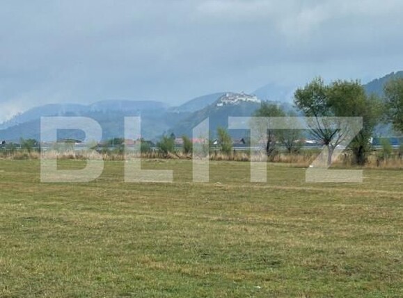 Teren de vânzare Rasnov - 157631TV | BLITZ Brașov | Poza6