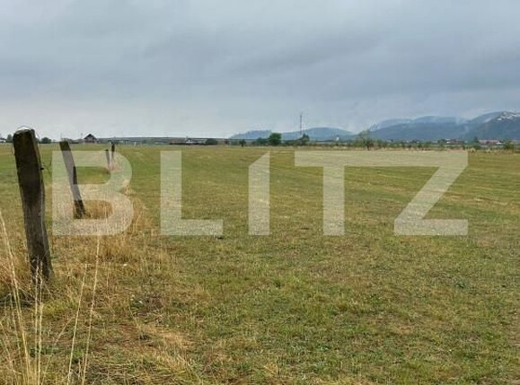 Teren de vânzare Rasnov - 157631TV | BLITZ Brașov | Poza3