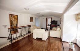 Vila in stil neoclasic in apropierea Gradinii Botanice 