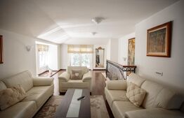 Vila in stil neoclasic in apropierea Gradinii Botanice 