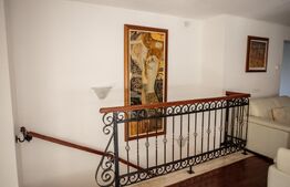 Vila in stil neoclasic in apropierea Gradinii Botanice 