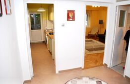 Apartament cu 1 camera, 40mp, zona centrala