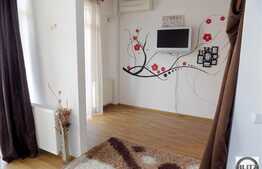 1 camera, semidecomandat, 43 mp, zona Plopilor