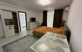 Apartament 1 camera, 40 mp, petfriendly, zona Florilor 