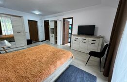 Apartament 1 camera, 40 mp, petfriendly, zona Florilor 
