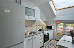 Apartament 1 camera, 40 mp, petfriendly, zona Florilor 