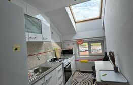 Apartament 1 camera, 40 mp, petfriendly, zona Florilor 