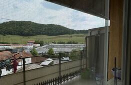 Apartament 1 camera, 40 mp, petfriendly, zona Florilor 