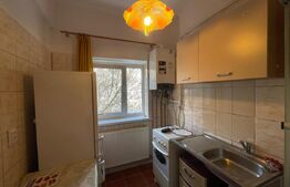 Garsoniera, 25 mp, centrală proprie, zona Garii