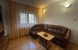 Garsoniera, 25 mp, centrală proprie, zona Garii