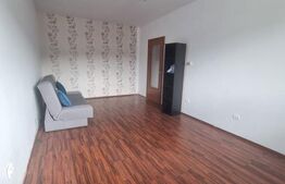 Apartament 2 camere, zona Astra