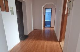 Apartament 2 camere, zona Astra