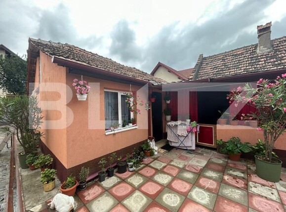 Casa de vânzare 7 camere Sanpetru - 157748CV | BLITZ Brașov | Poza3