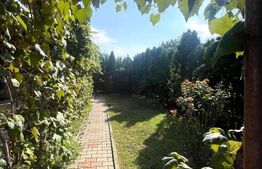 Casa de 45mp, 200mp curte, pet friendly, zona strazii Corneliu Coposu