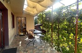 Casa de 45mp, 200mp curte, pet friendly, zona strazii Corneliu Coposu