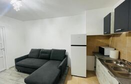 Garsoniera in centru, 18 mp, cu curte, prima inchiriere