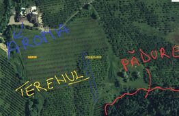 TEREN PENTRU INVESTITIE CU VIEW SPRE CLUJ IN LIVADA AROMA 