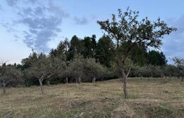 TEREN PENTRU INVESTITIE CU VIEW SPRE CLUJ IN LIVADA AROMA 