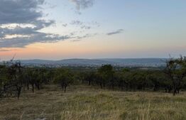 TEREN PENTRU INVESTITIE CU VIEW SPRE CLUJ IN LIVADA AROMA 