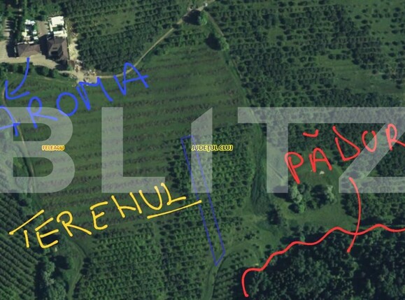 Teren de vânzare Feleacu - 157810TV | BLITZ Cluj-Napoca | Poza4