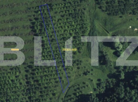 Teren de vânzare Feleacu - 157810TV | BLITZ Cluj-Napoca | Poza6