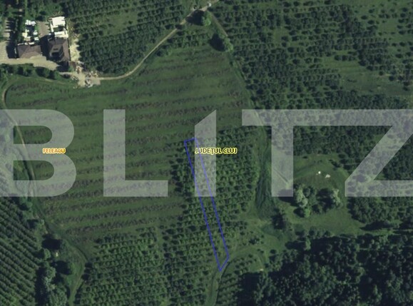 Teren de vânzare Feleacu - 157810TV | BLITZ Cluj-Napoca | Poza5