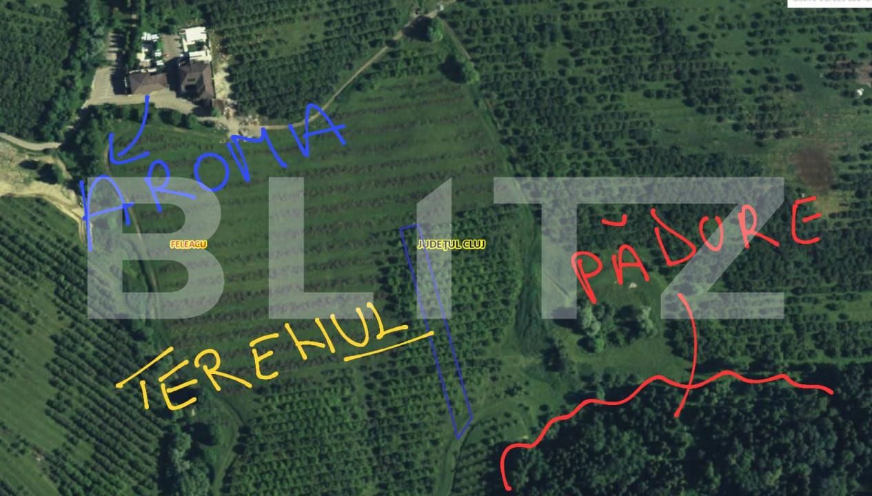 Teren de vânzare Feleacu - 157810TV | BLITZ Cluj-Napoca | Poza4