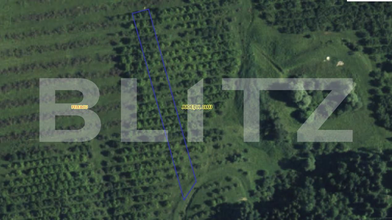 Teren de vânzare Feleacu - 157810TV | BLITZ Cluj-Napoca | Poza6