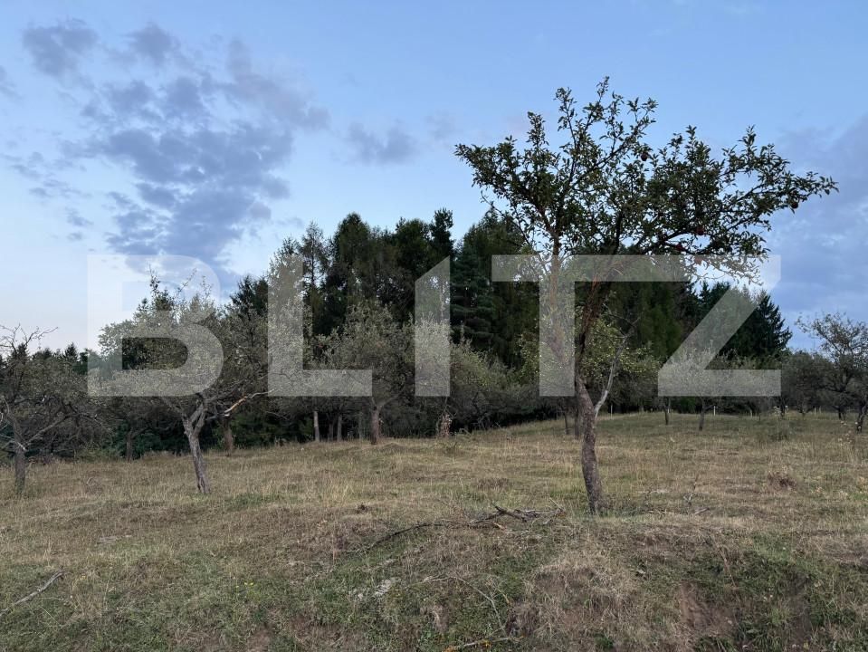 Teren de vânzare Feleacu - 157810TV | BLITZ Cluj-Napoca | Poza3
