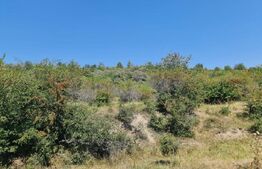 Teren extravilan 1,5 h  pentru investitie 